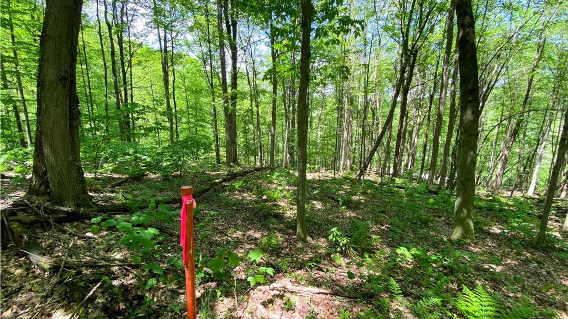 Property at 4880 Deusenberry Road, Cohocton, NY 14826 17