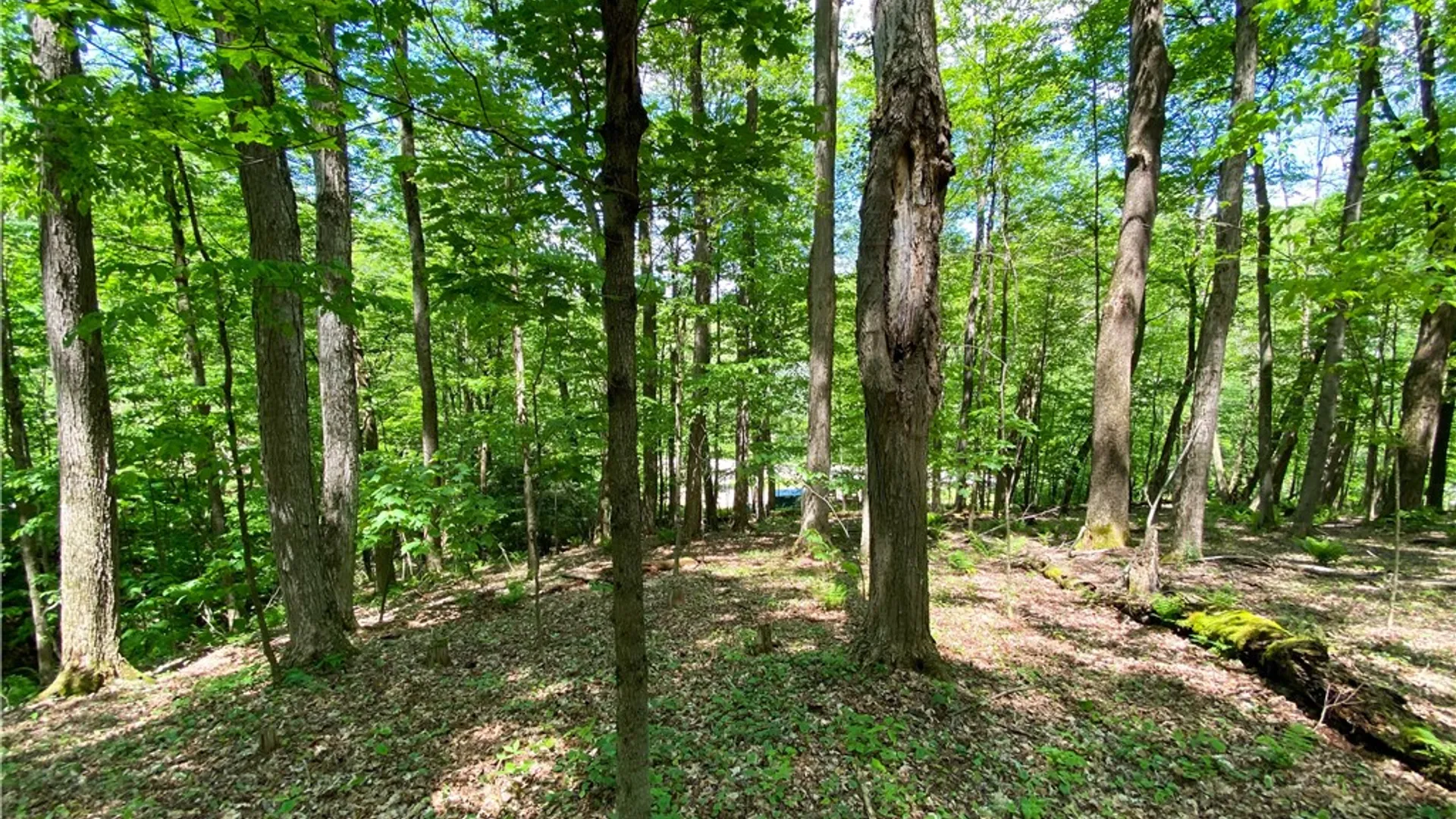 Property at 4880 Deusenberry Road, Cohocton, NY 14826 19