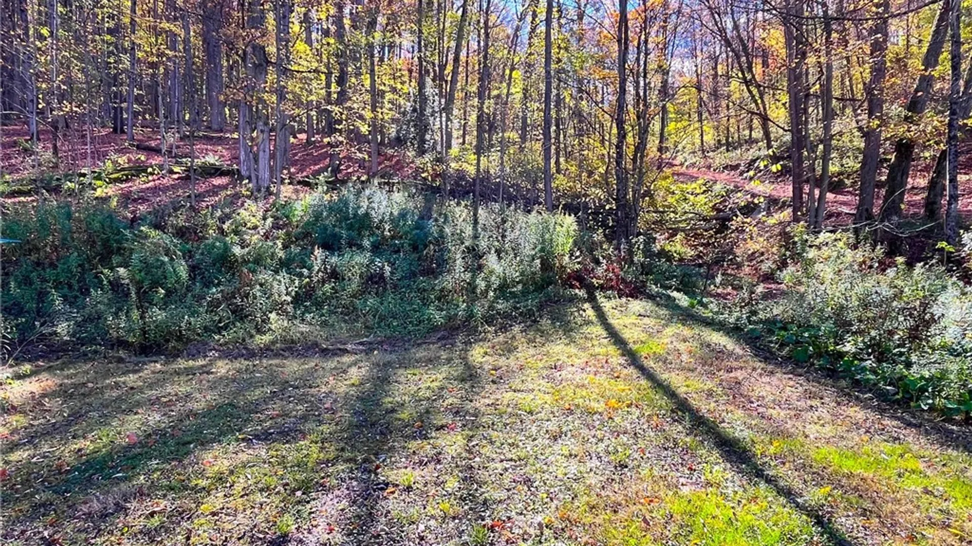 Property at 4880 Deusenberry Road, Cohocton, NY 14826 7
