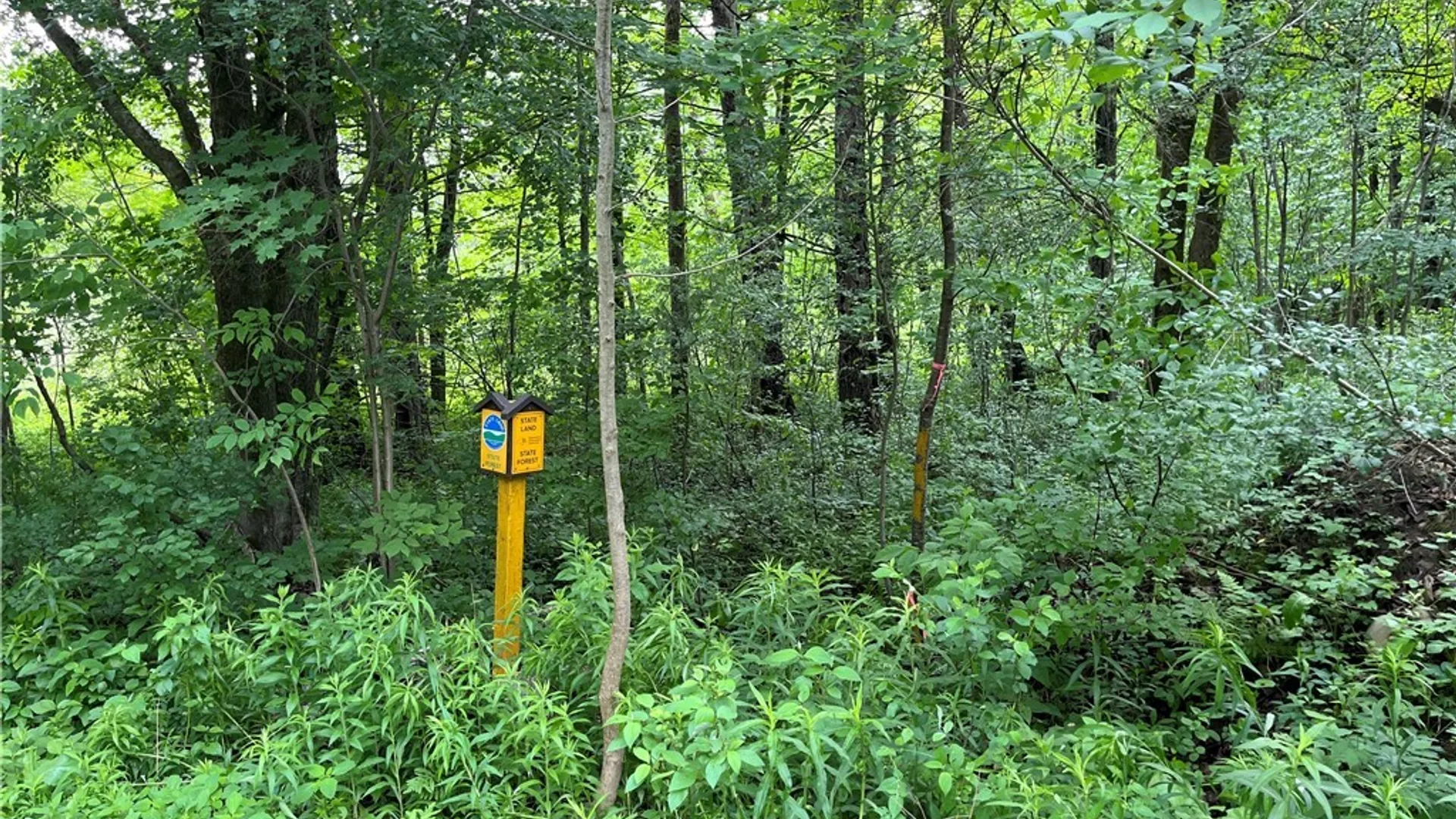 Property at 19315 County Route 90, Lorraine, NY 13659 11