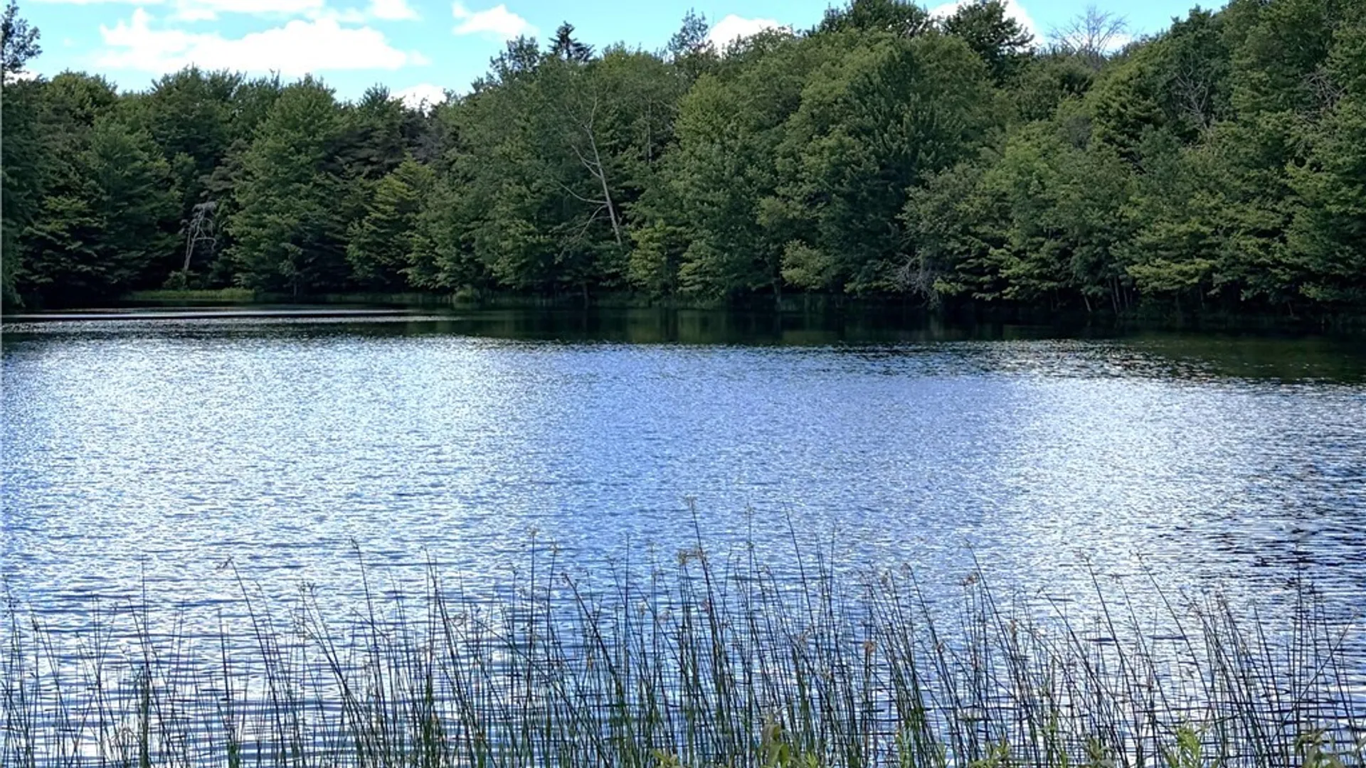 Property at 11709 Scotch / Blooming Hill Lot 25, Freedom, NY 14065 18