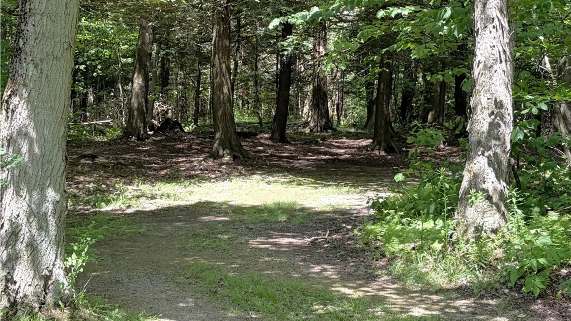 Property at 11709 Scotch / Blooming Hill Lot 25, Freedom, NY 14065 21