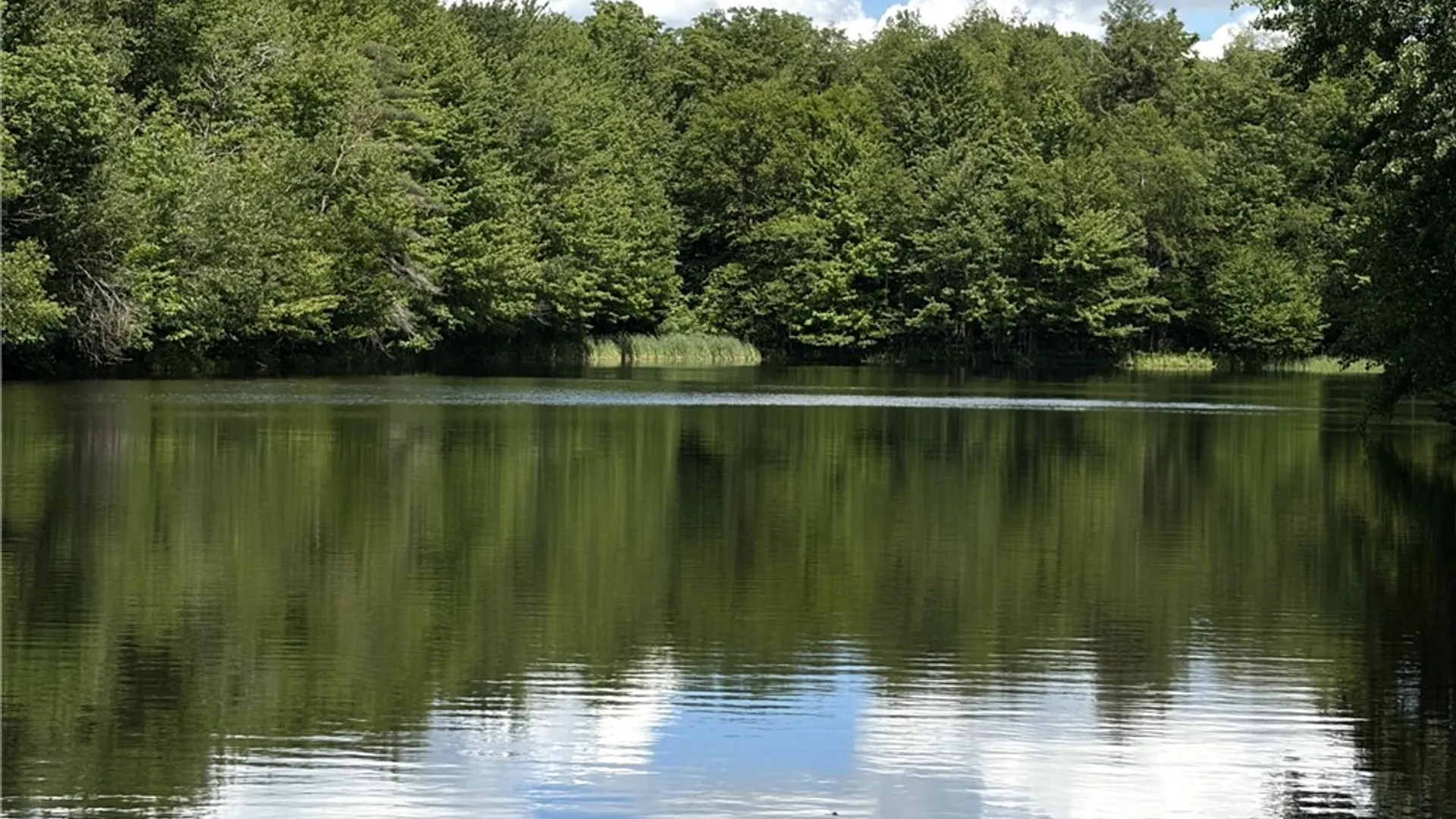 Property at 11709 Scotch / Blooming Hill Lot 25, Freedom, NY 14065 22
