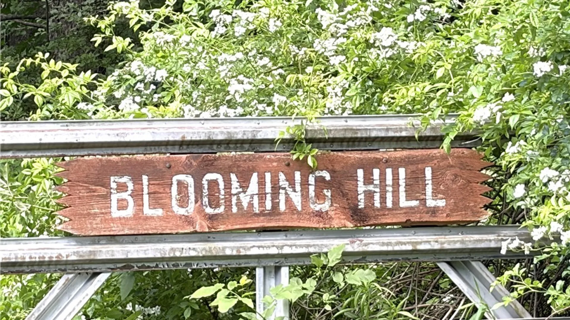 Property at 11709 Scotch / Blooming Hill Lot 25, Freedom, NY 14065 24