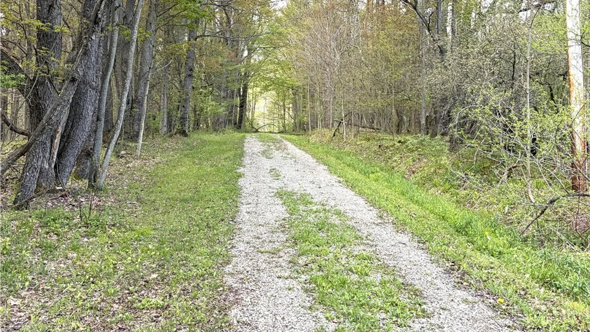 Property at 11709 Scotch / Blooming Hill Lot 25, Freedom, NY 14065 25
