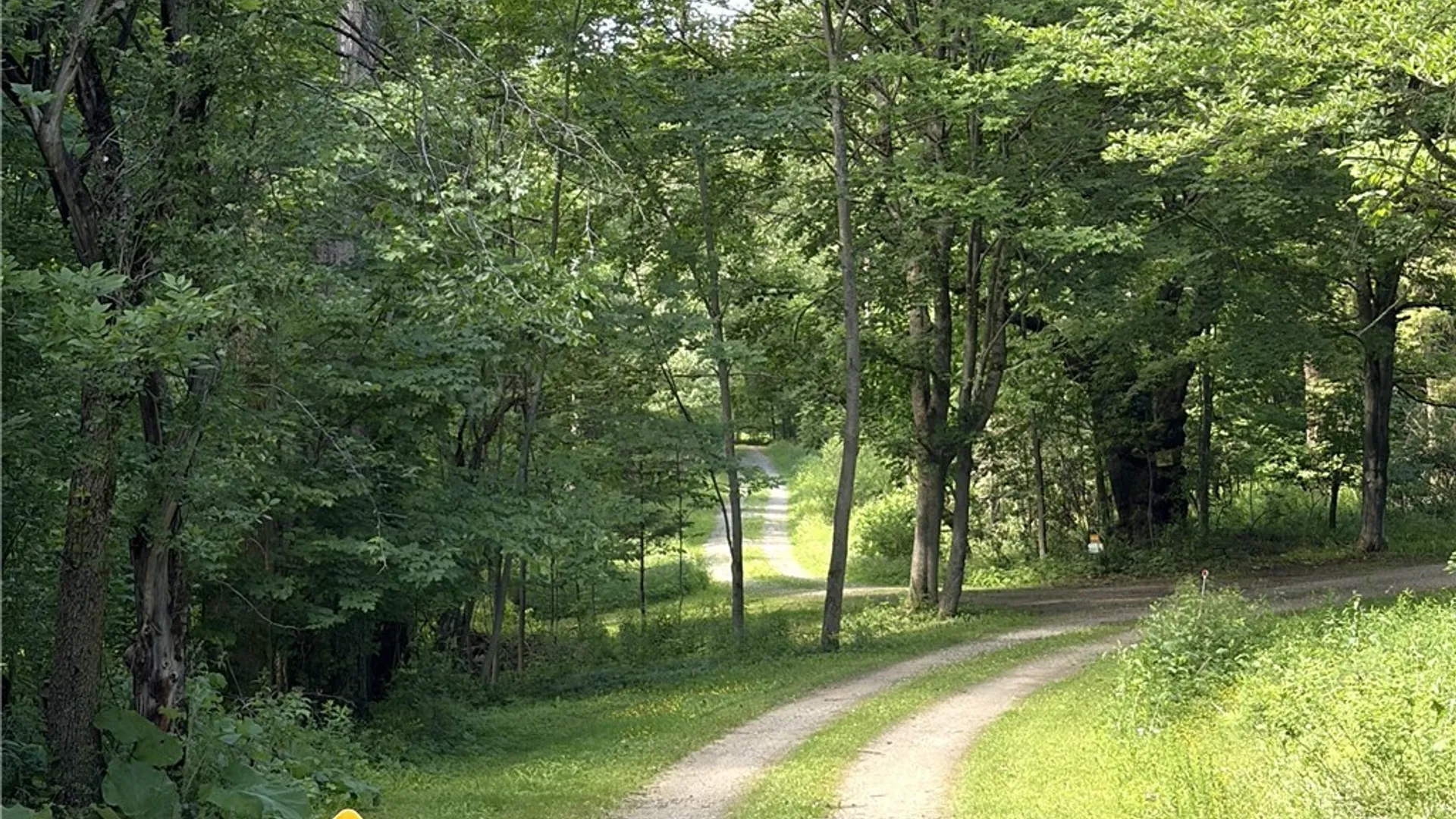 Property at 11709 Scotch / Blooming Hill Lot 25, Freedom, NY 14065 29