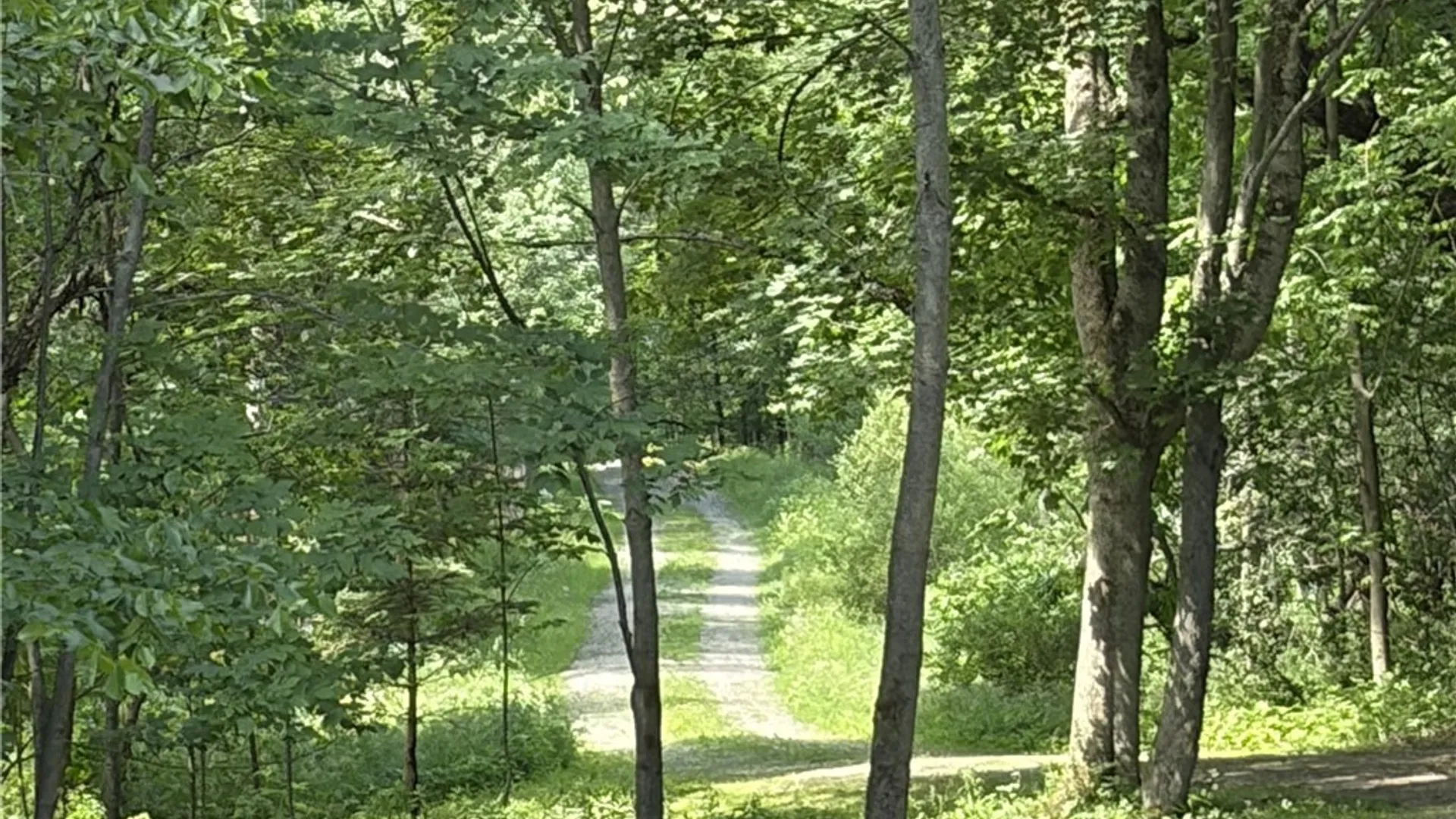 Property at 11709 Scotch / Blooming Hill Lot 25, Freedom, NY 14065 30