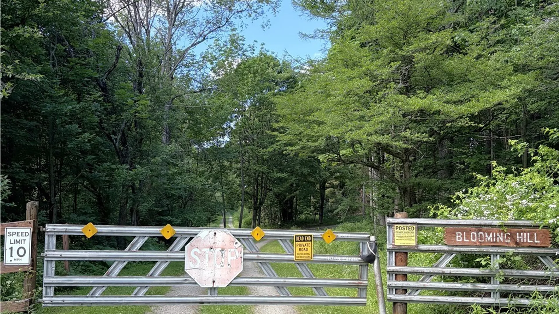 Property at 11709 Scotch / Blooming Hill Lot 25, Freedom, NY 14065 4
