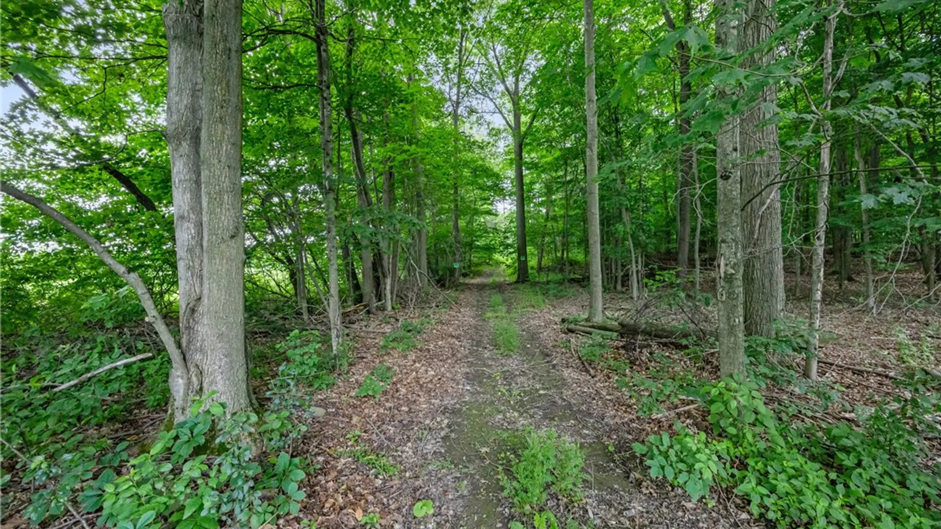 Property at 11402 Canaseraga Road, Ossian, NY 14437 44