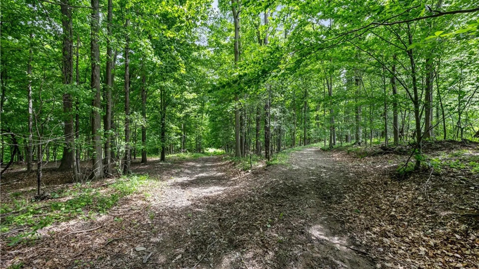 Property at 11402 Canaseraga Road, Ossian, NY 14437 45