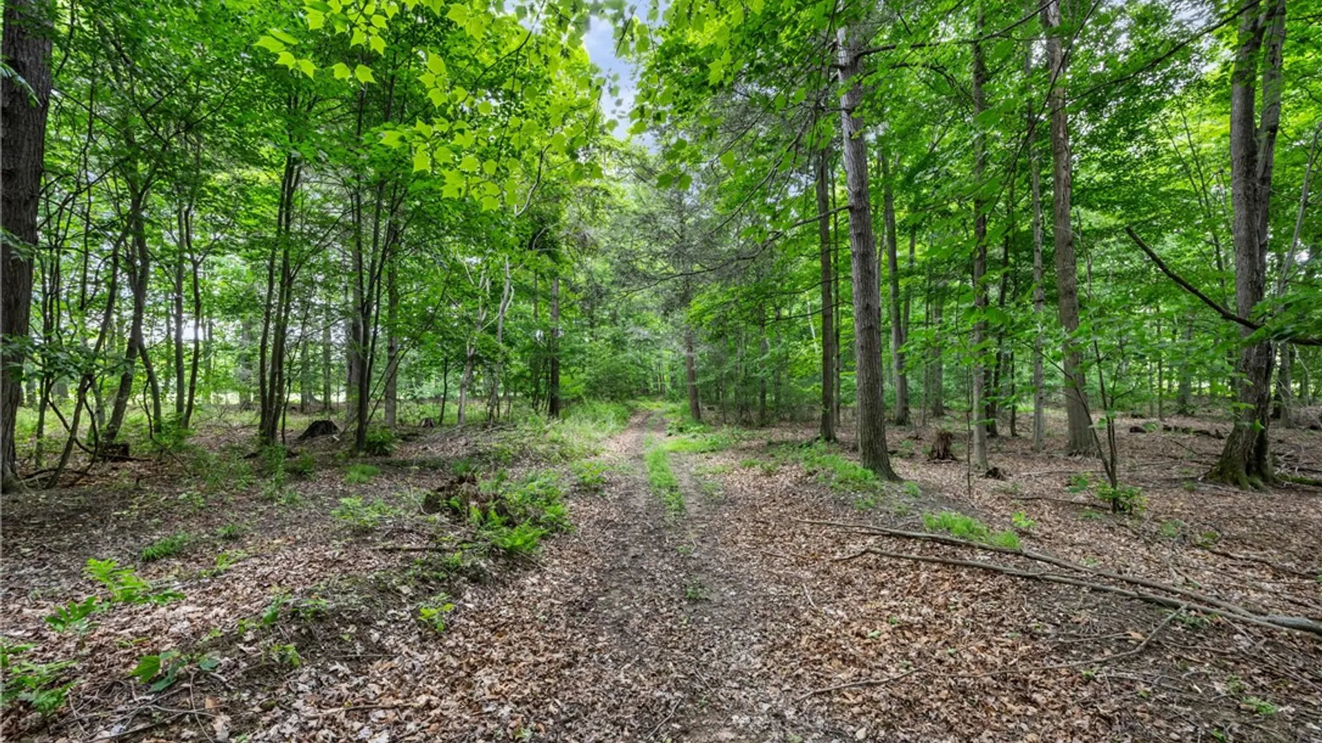 Property at 11402 Canaseraga Road, Ossian, NY 14437 46