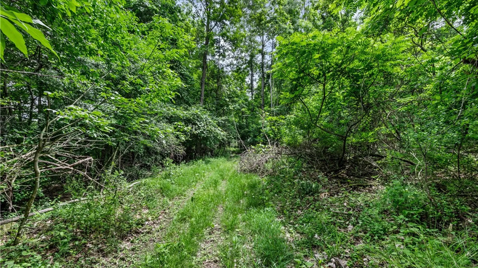 Property at 11402 Canaseraga Road, Ossian, NY 14437 47