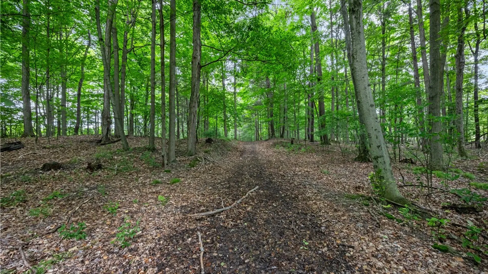 Property at 11402 Canaseraga Road, Ossian, NY 14437 48