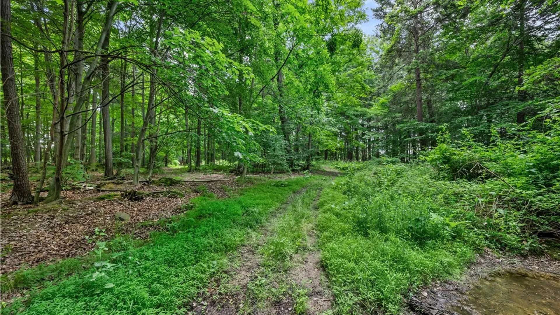Property at 11402 Canaseraga Road, Ossian, NY 14437 49