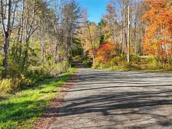 Property at Deputron Hollow Road, Danby, NY 14817