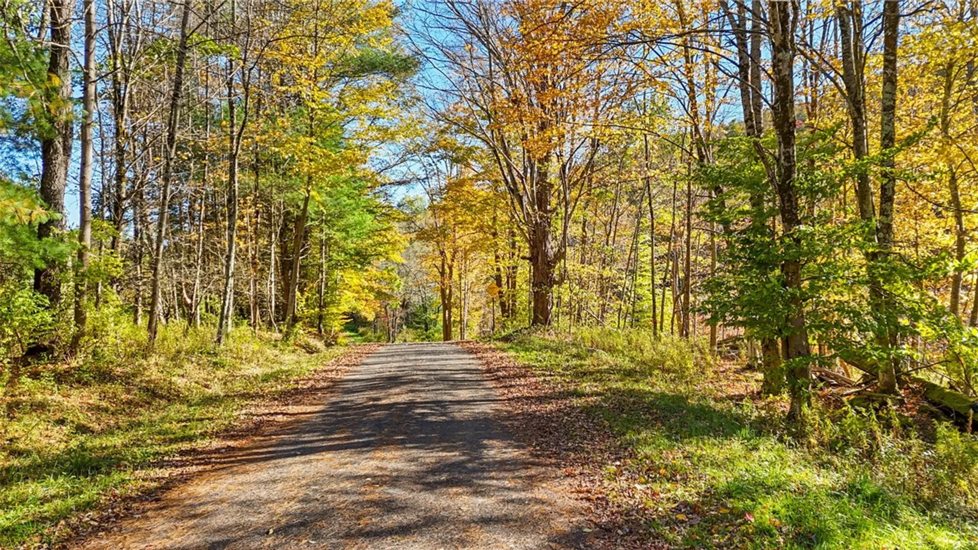 Property at Deputron Hollow Road, Danby, NY 14817 2