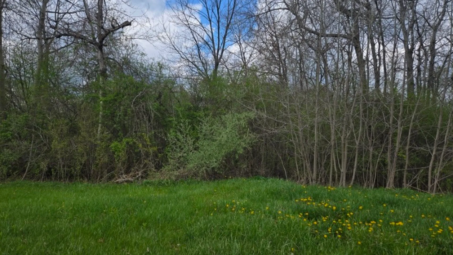 Property at 1695 & 97 State Route 63, Wayland, NY 14572 6
