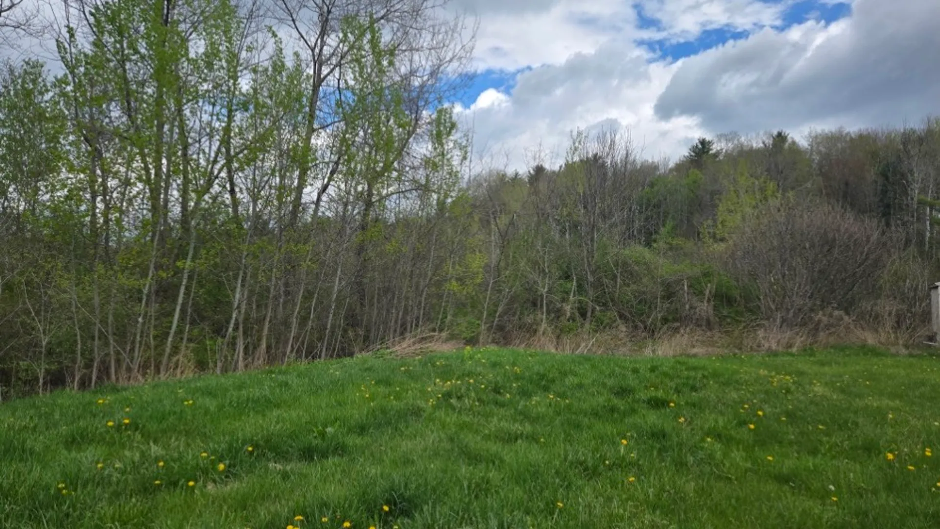 Property at 1695 & 97 State Route 63, Wayland, NY 14572 8