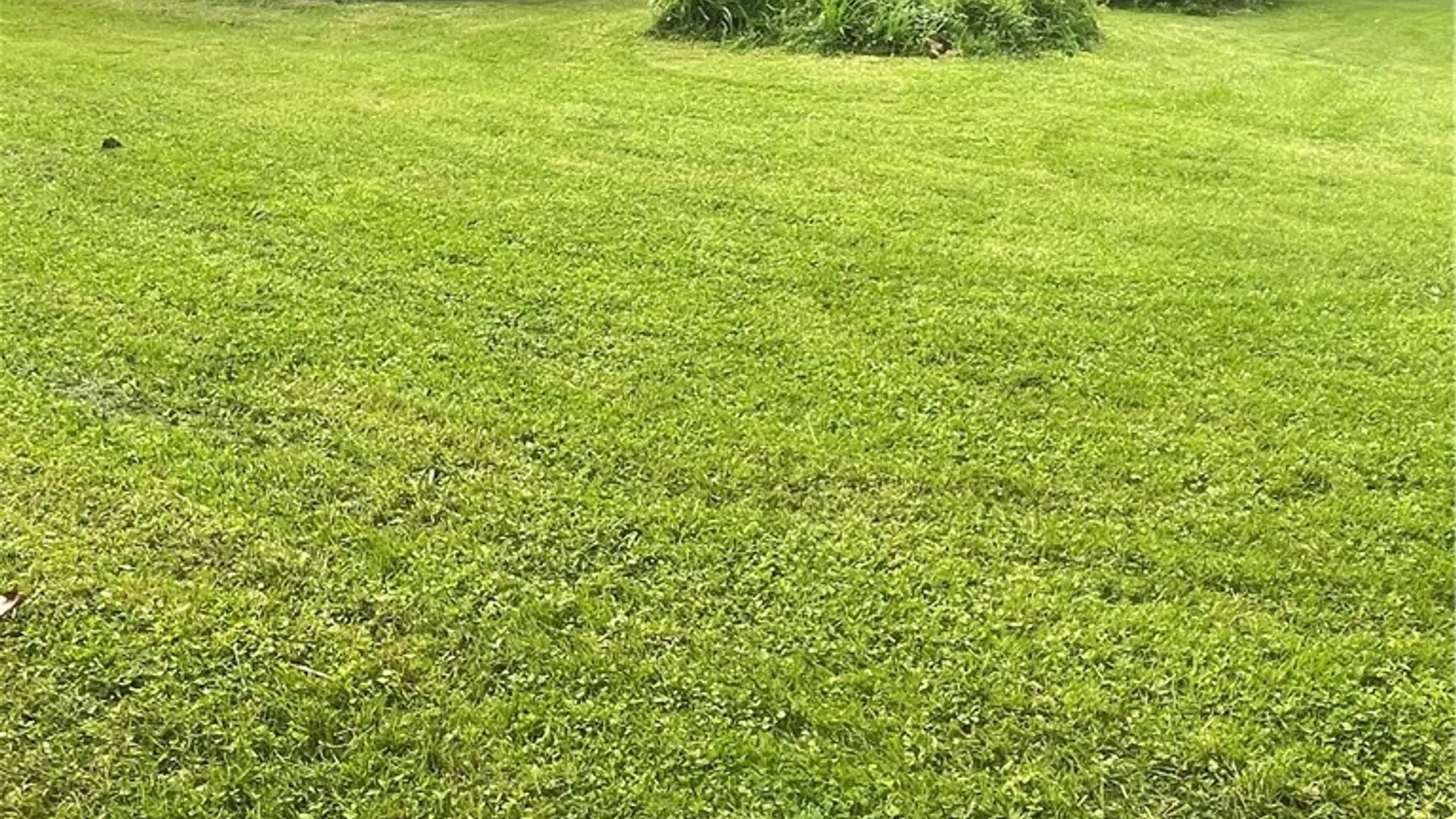 Property at 197 Perrine Avenue, Auburn, NY 13021 5