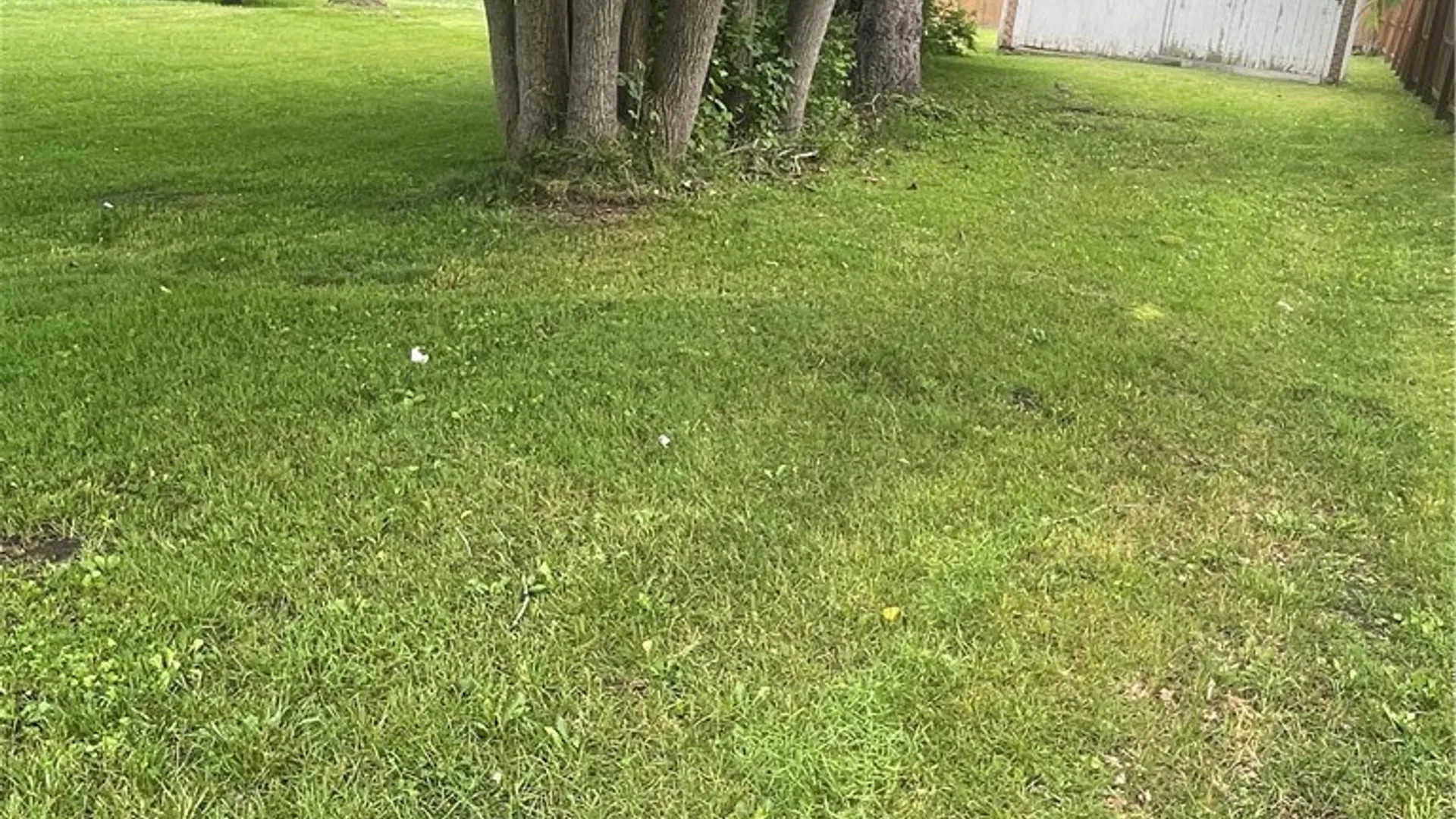 Property at 197 Perrine Avenue, Auburn, NY 13021 9