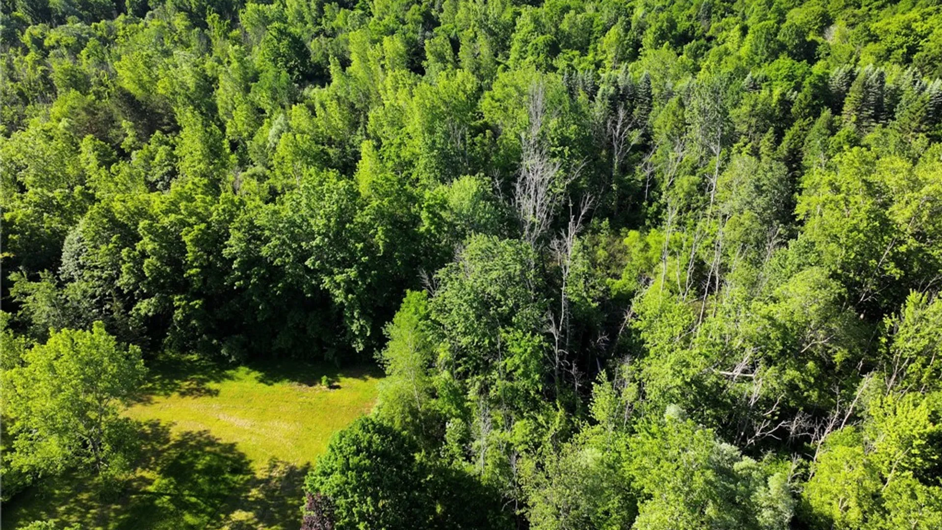 Property at 452 (Site 2) Plank Road, Walworth, NY 14502 5