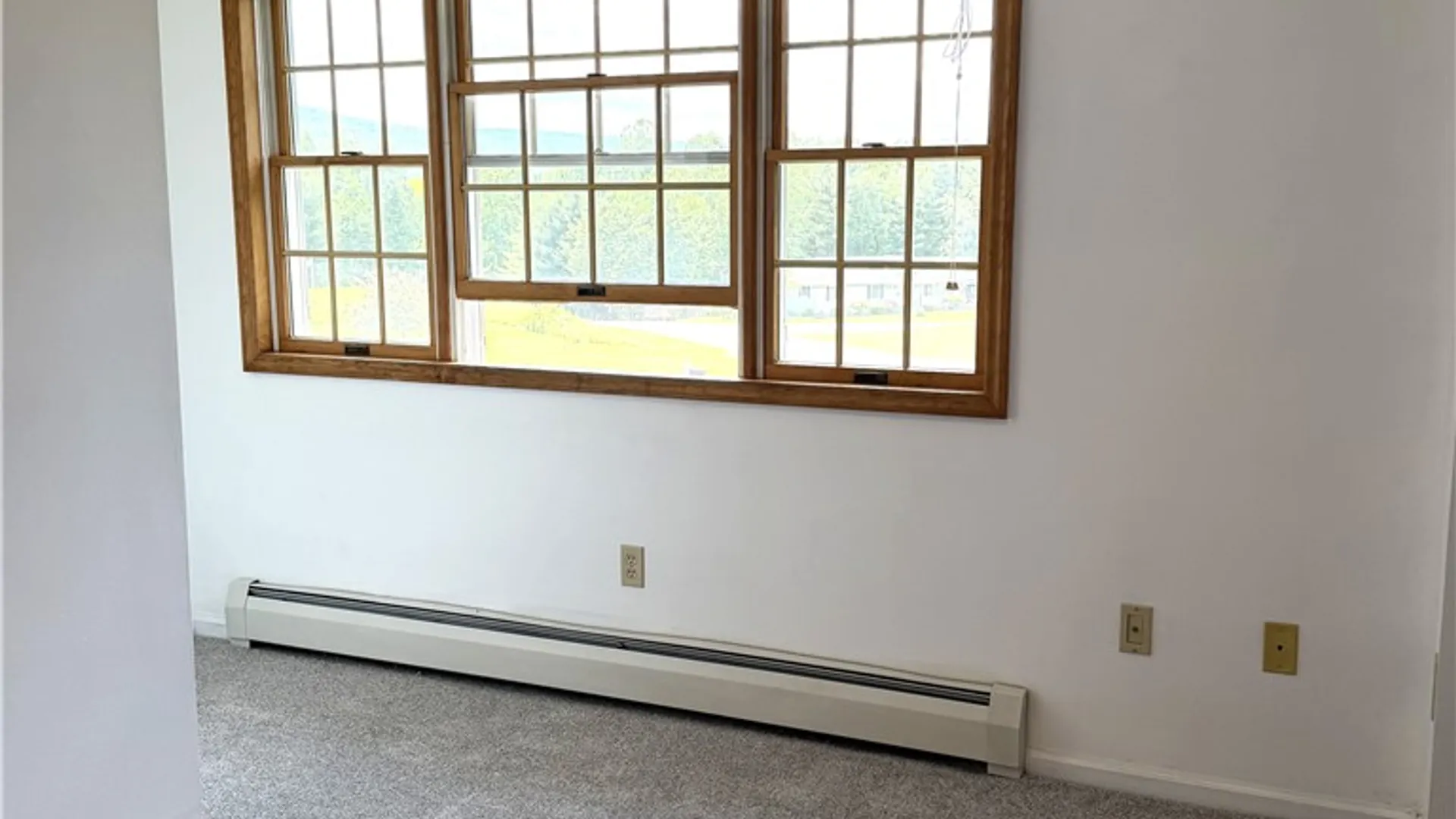 Property at 101 Woodland Drive, Oneonta, NY 13820 28