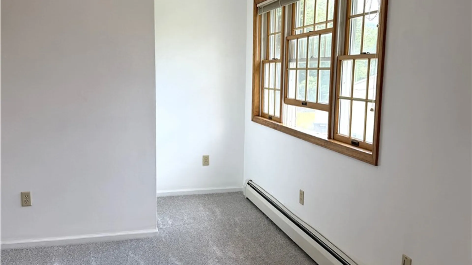 Property at 101 Woodland Drive, Oneonta, NY 13820 29