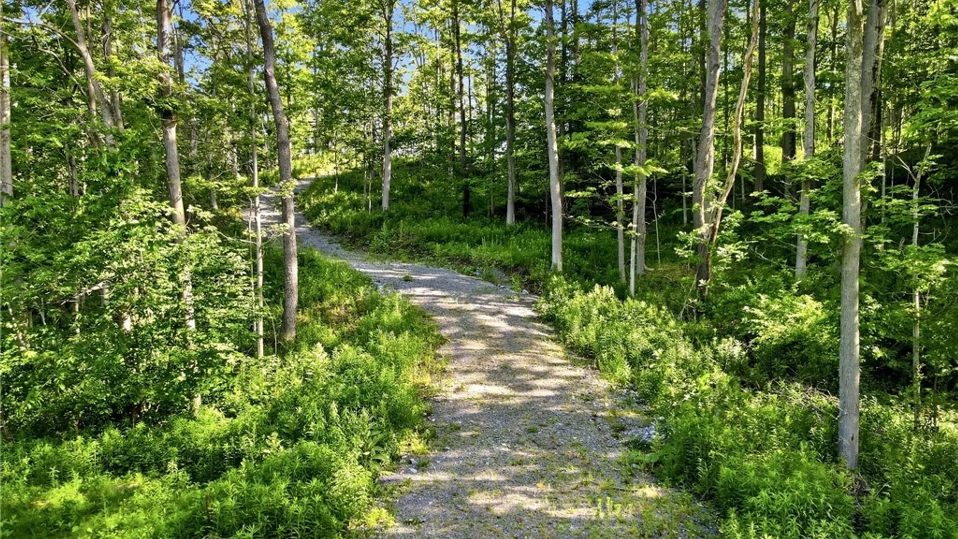 Property at 11980 Hunters Creek Road, Wales, NY 14169 2