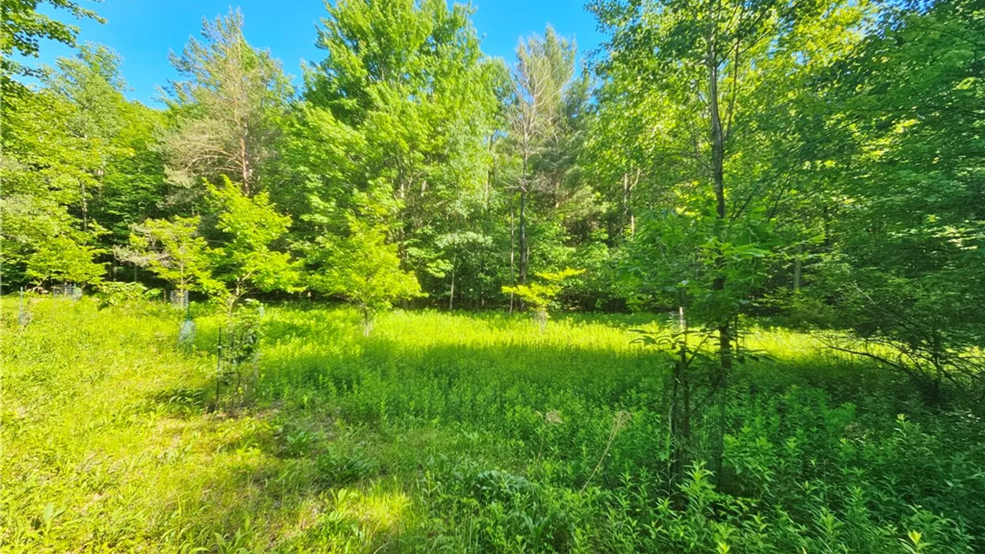 Property at 6610 State Route 53, Prattsburgh, NY 14873 43