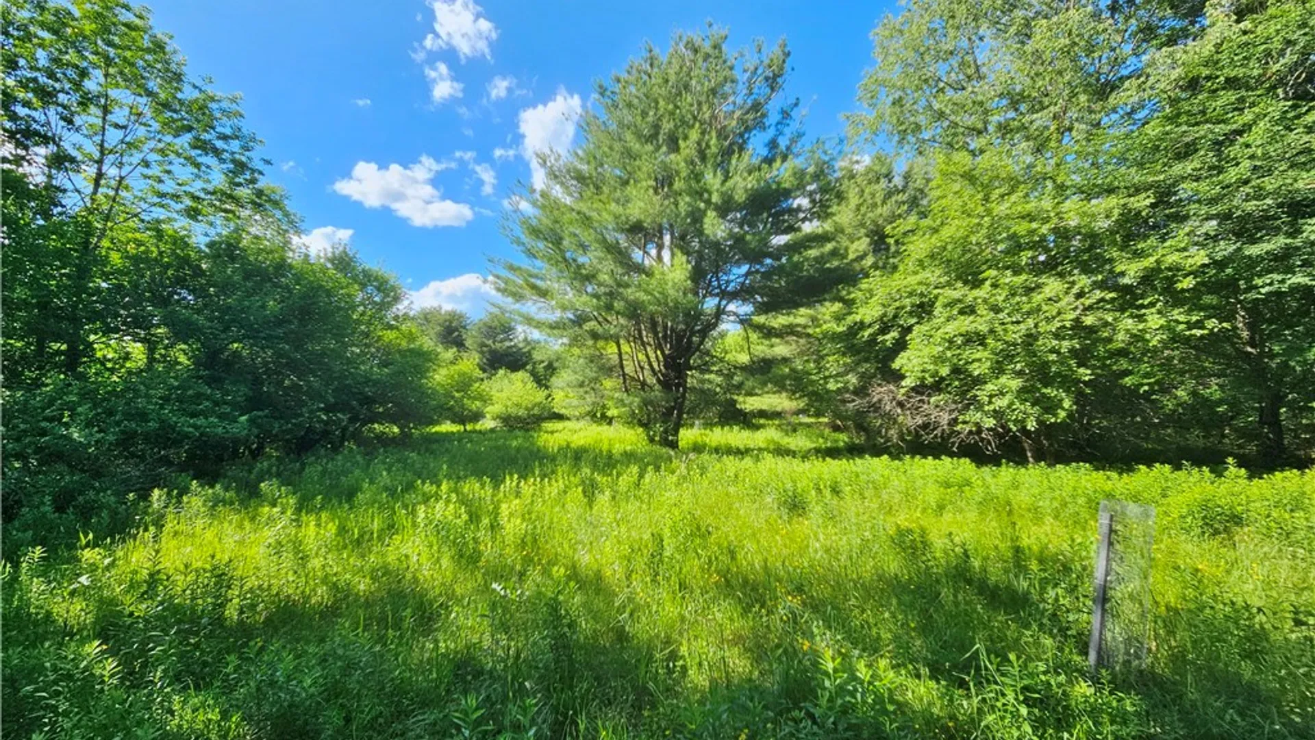 Property at 6610 State Route 53, Prattsburgh, NY 14873 44