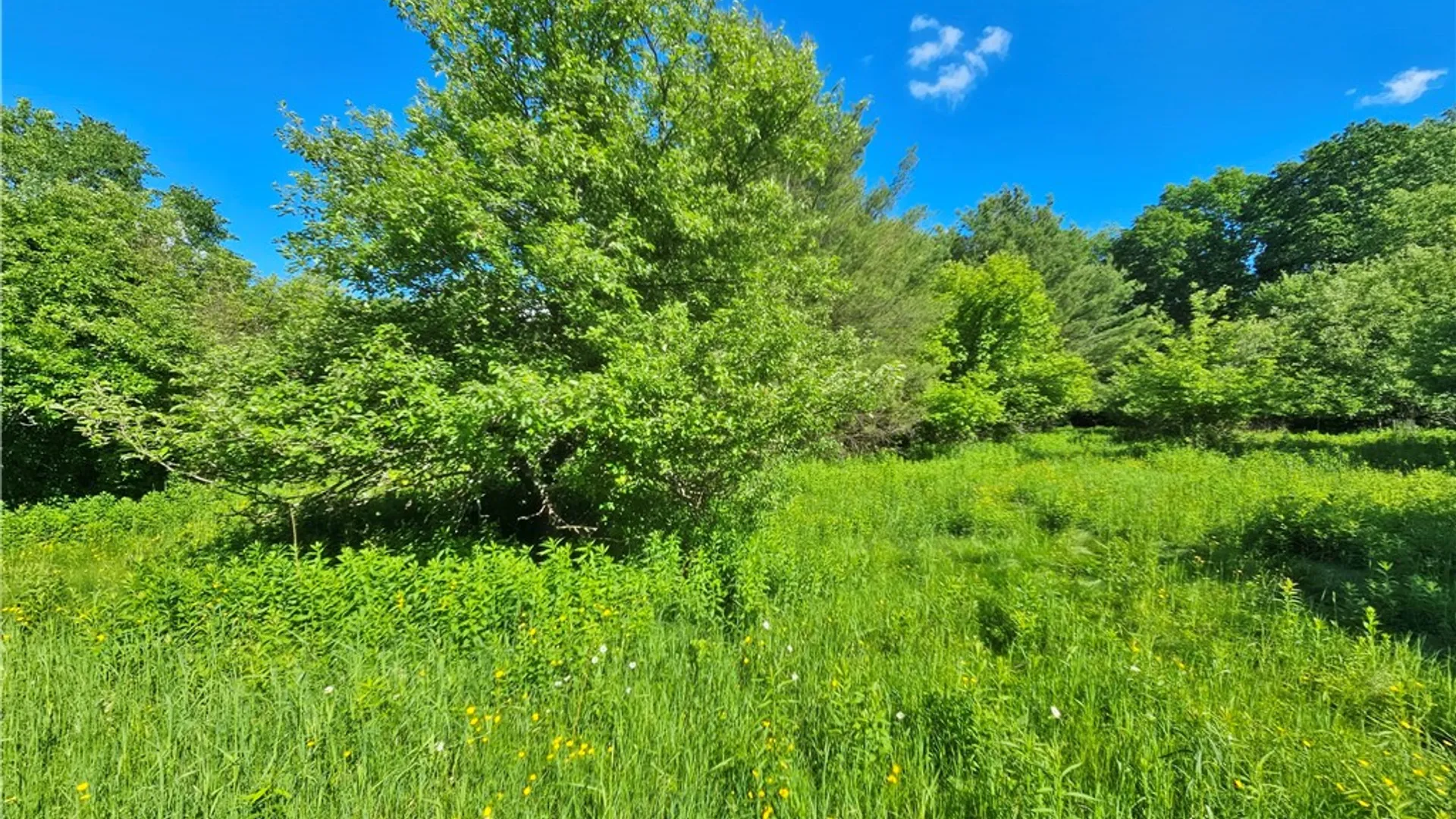 Property at 6610 State Route 53, Prattsburgh, NY 14873 45
