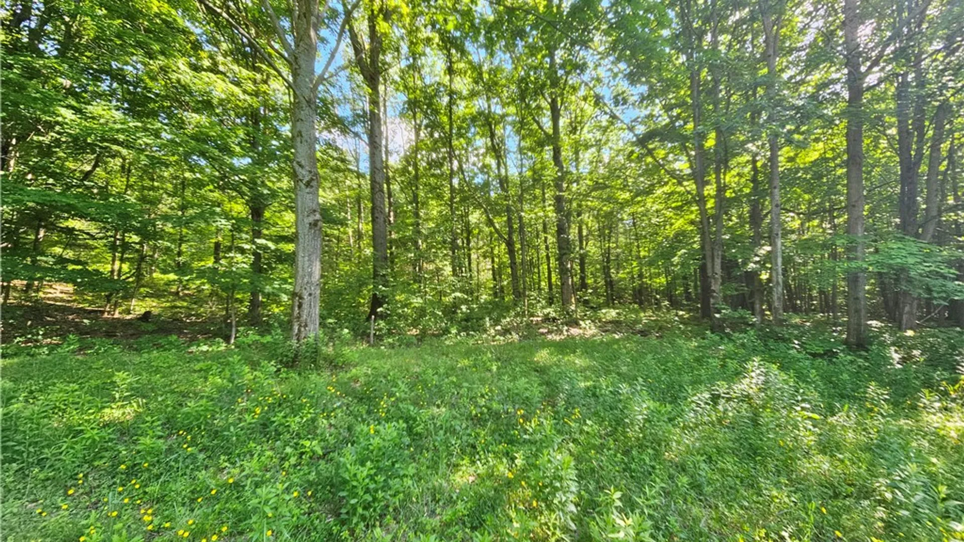 Property at 6610 State Route 53, Prattsburgh, NY 14873 47