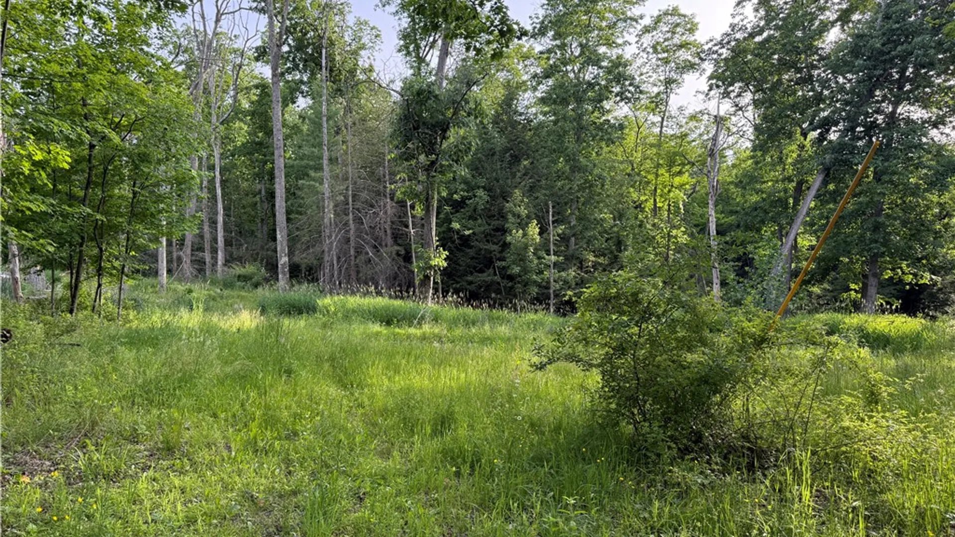 Property at Cronk Hill Road, Caneadea, NY 14735 3