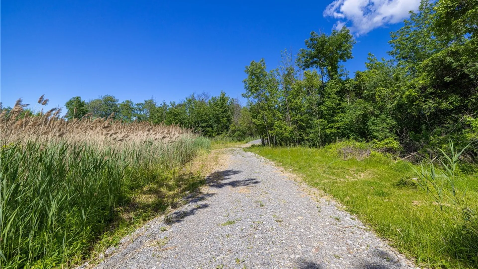 Property at 1652 Manitou Road, Greece, NY 14626 21