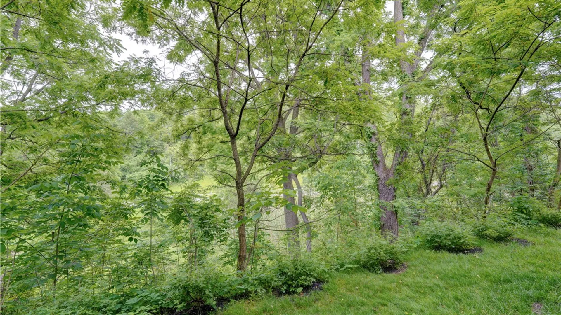 Property at 1037 Chapelhill Drive, Victor, NY 14564 46