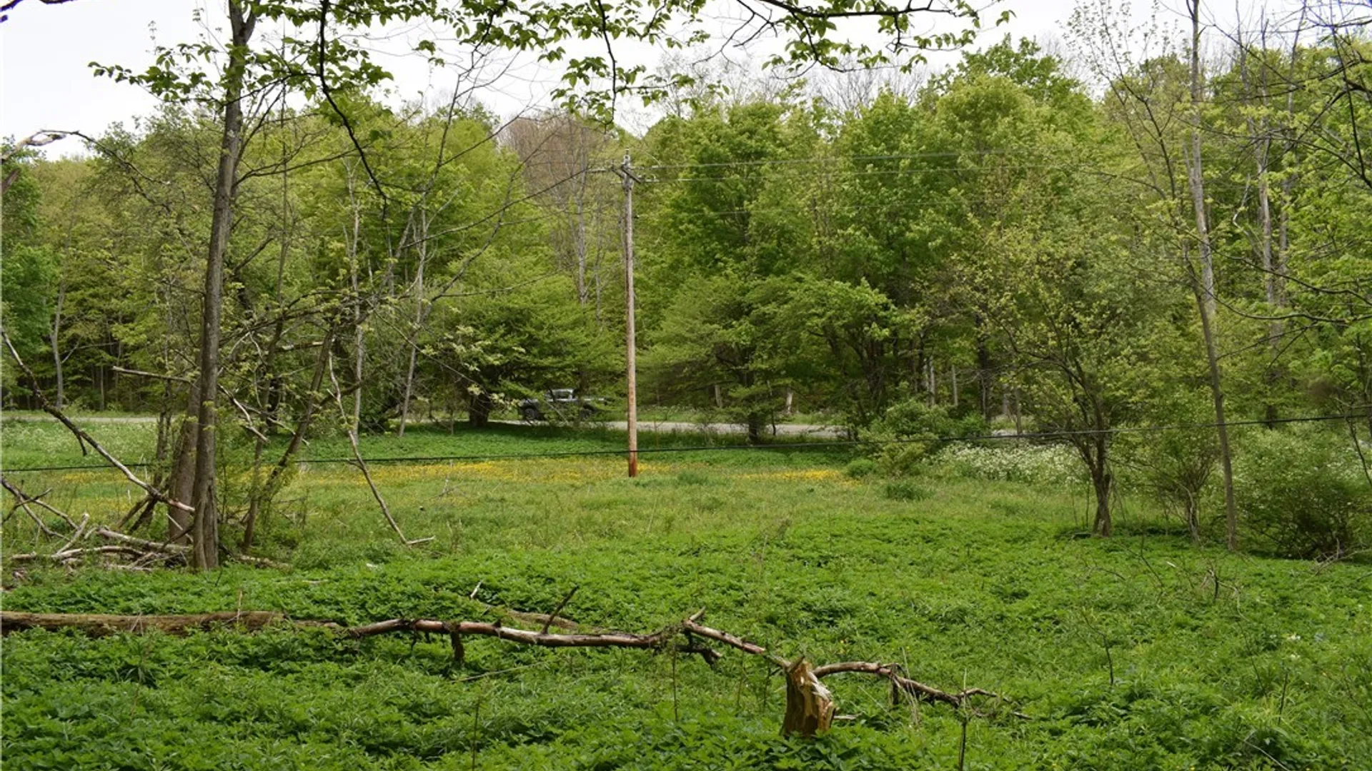 Property at 0 Harris Hollow Road, Ellington, NY 14740 5