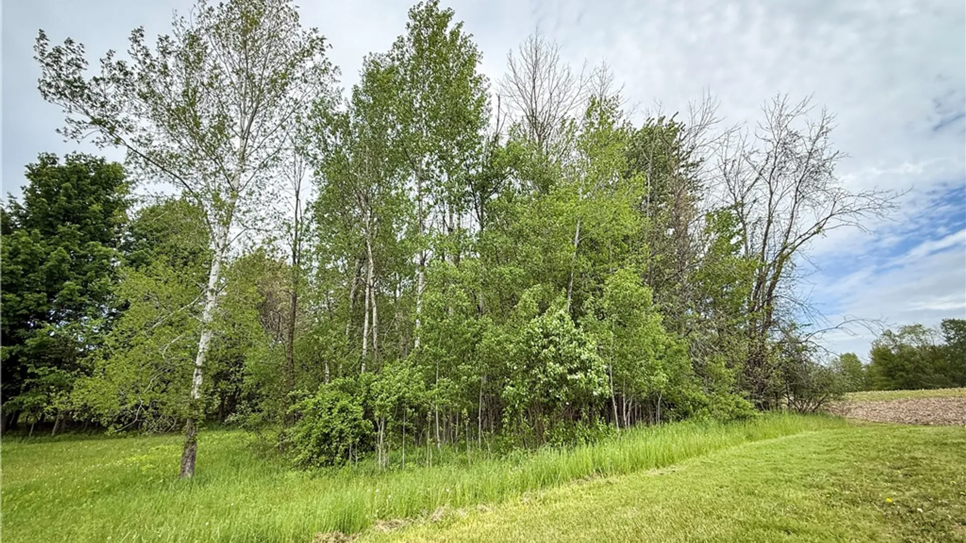 Property at Gifford Road, Hannibal, NY 13074 10