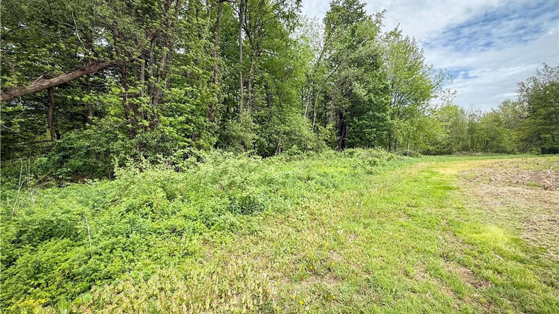 Property at Gifford Road, Hannibal, NY 13074 12