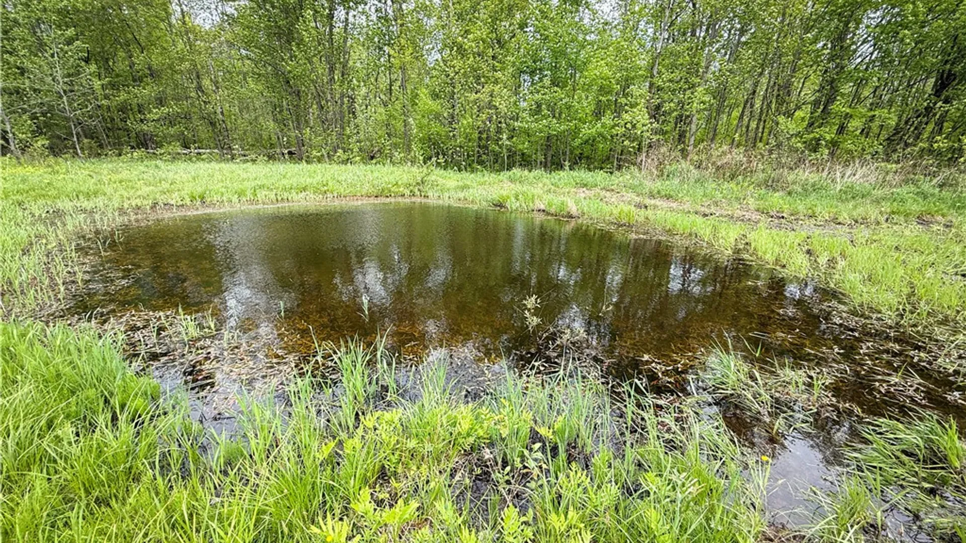 Property at Gifford Road, Hannibal, NY 13074 13