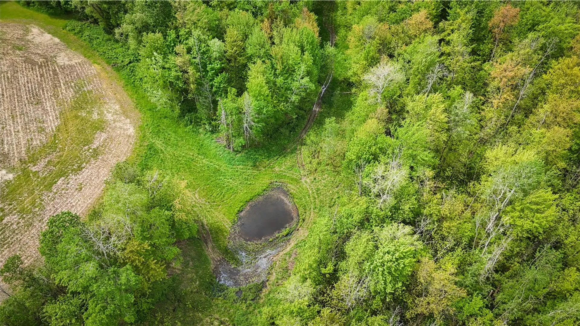 Property at Gifford Road, Hannibal, NY 13074 14