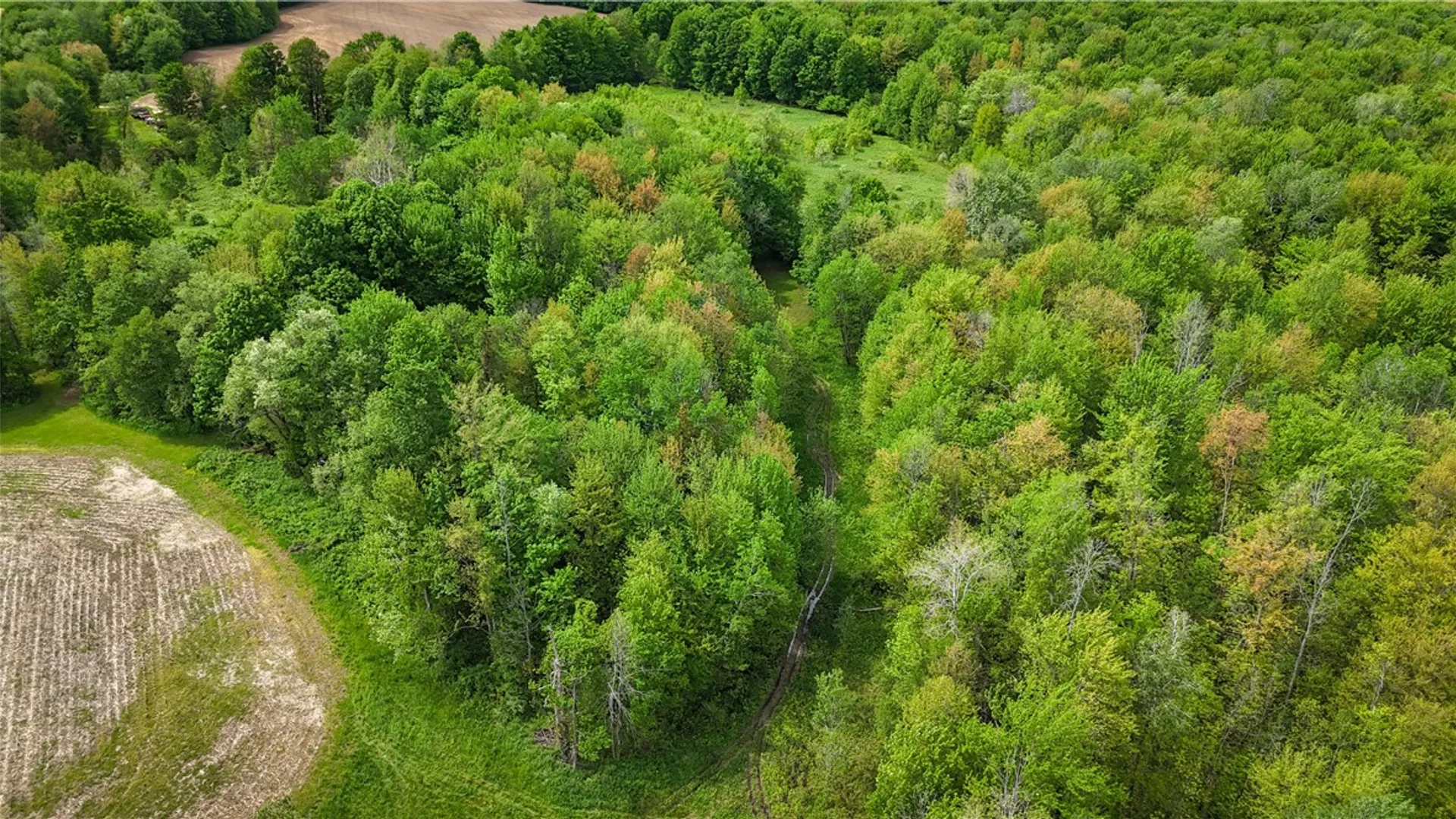 Property at Gifford Road, Hannibal, NY 13074 15