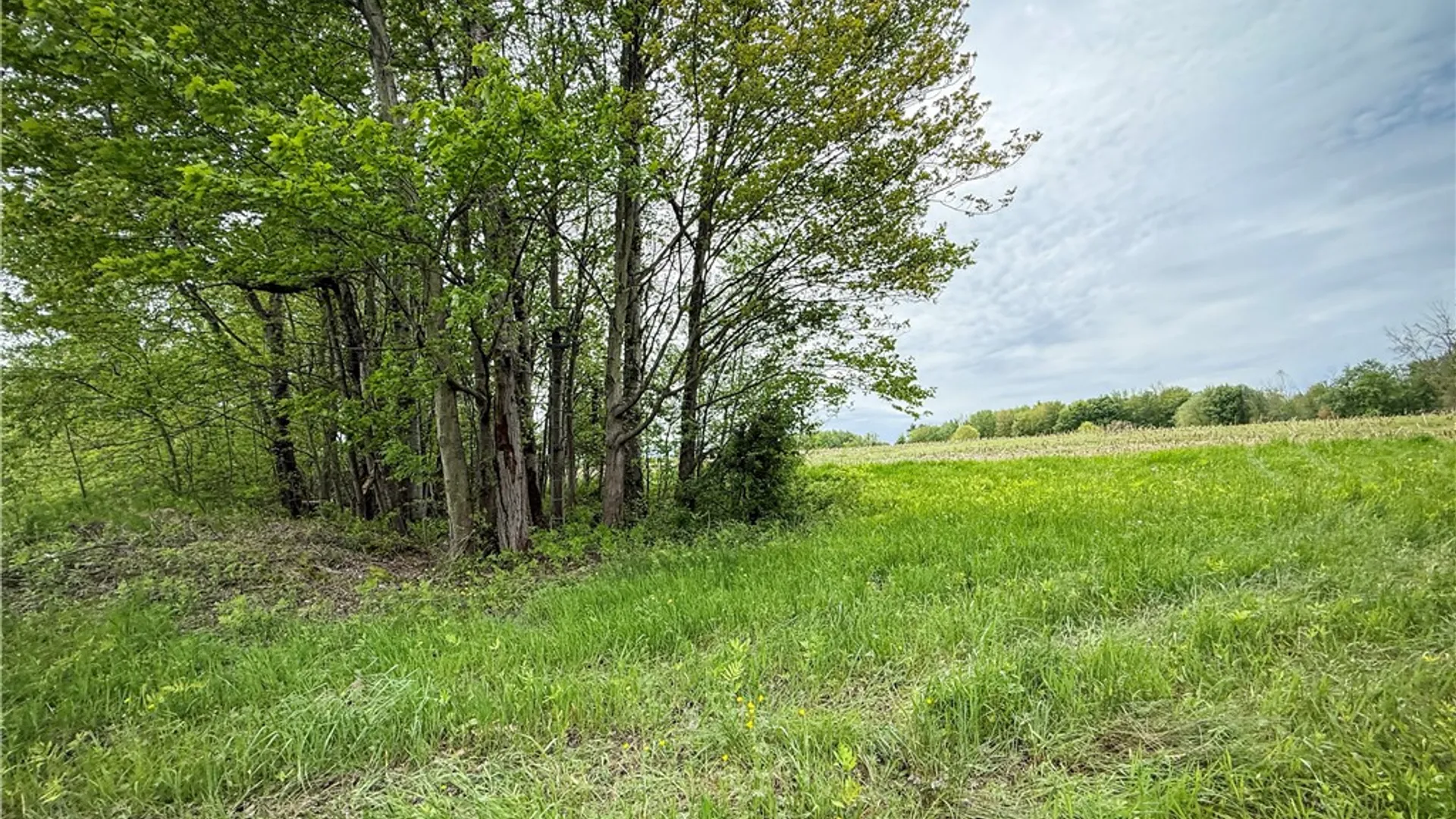 Property at Gifford Road, Hannibal, NY 13074 16