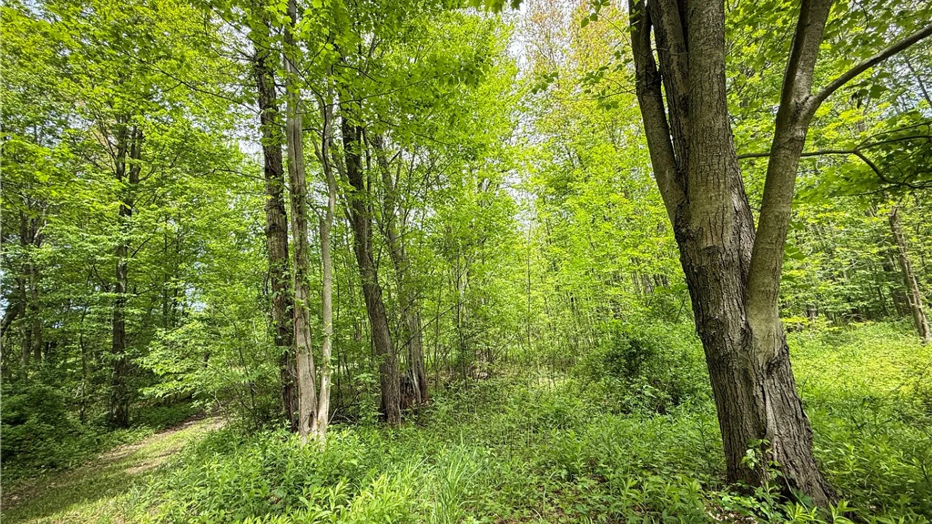 Property at Gifford Road, Hannibal, NY 13074 17