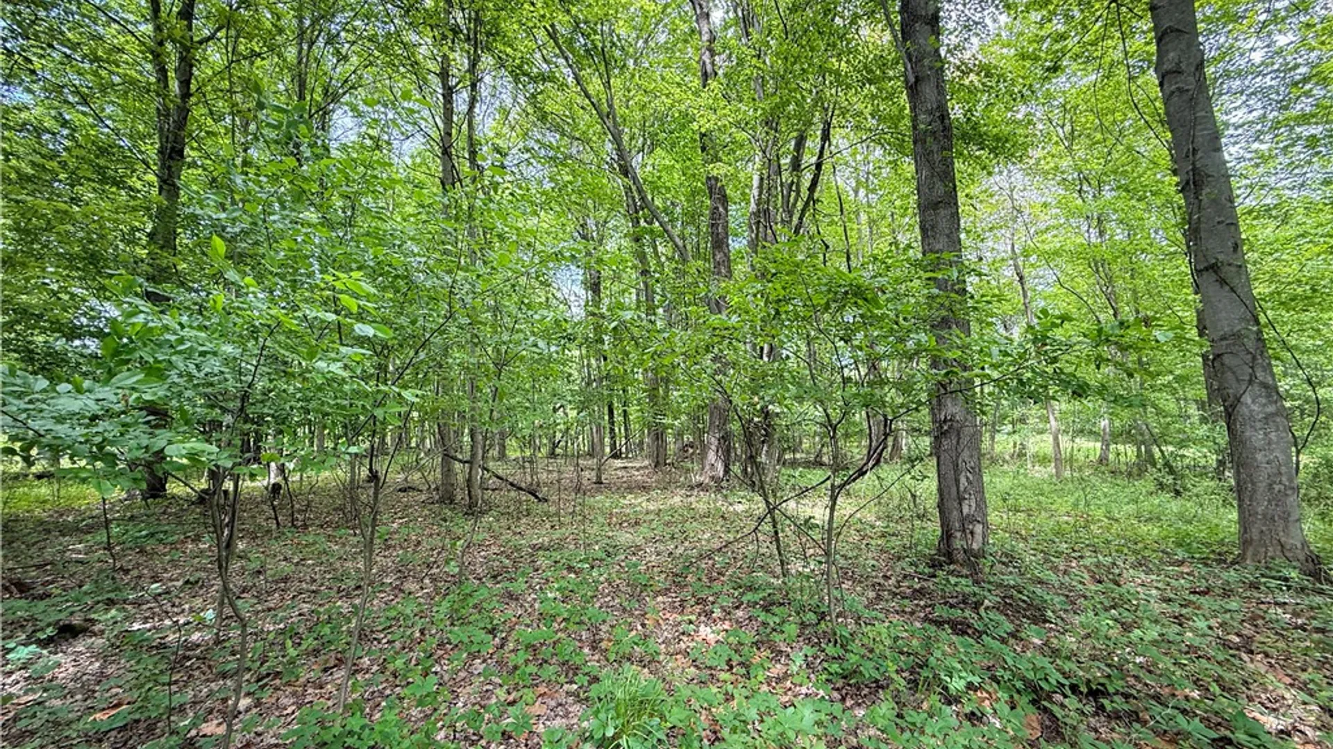 Property at Gifford Road, Hannibal, NY 13074 18