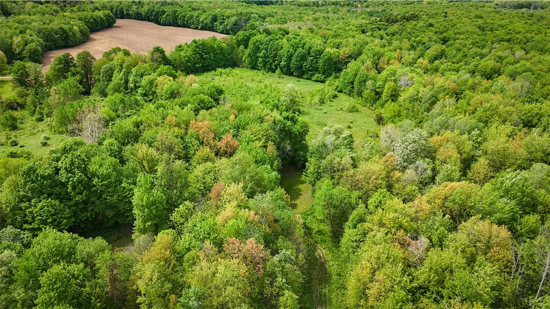 Property at Gifford Road, Hannibal, NY 13074 22