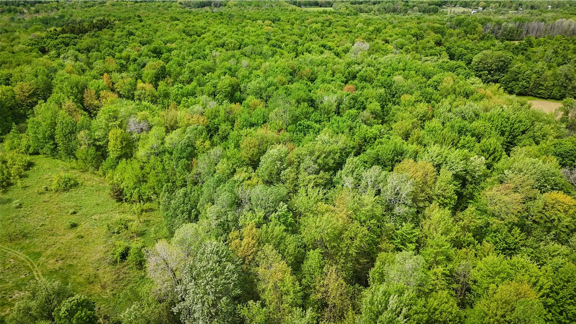 Property at Gifford Road, Hannibal, NY 13074 23