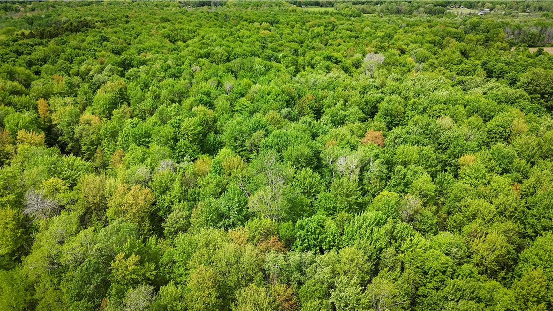 Property at Gifford Road, Hannibal, NY 13074 24
