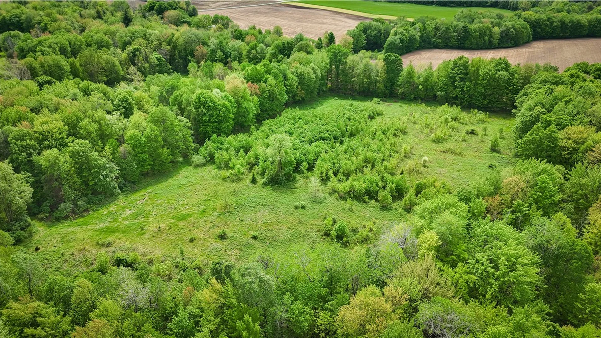 Property at Gifford Road, Hannibal, NY 13074 25