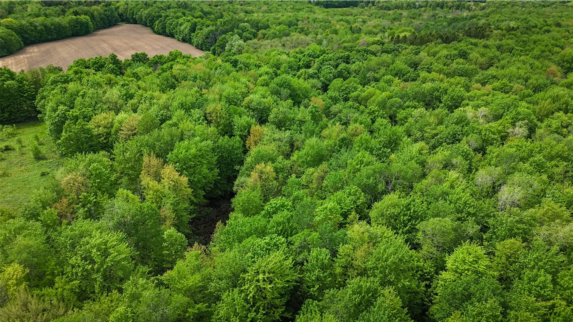 Property at Gifford Road, Hannibal, NY 13074 26