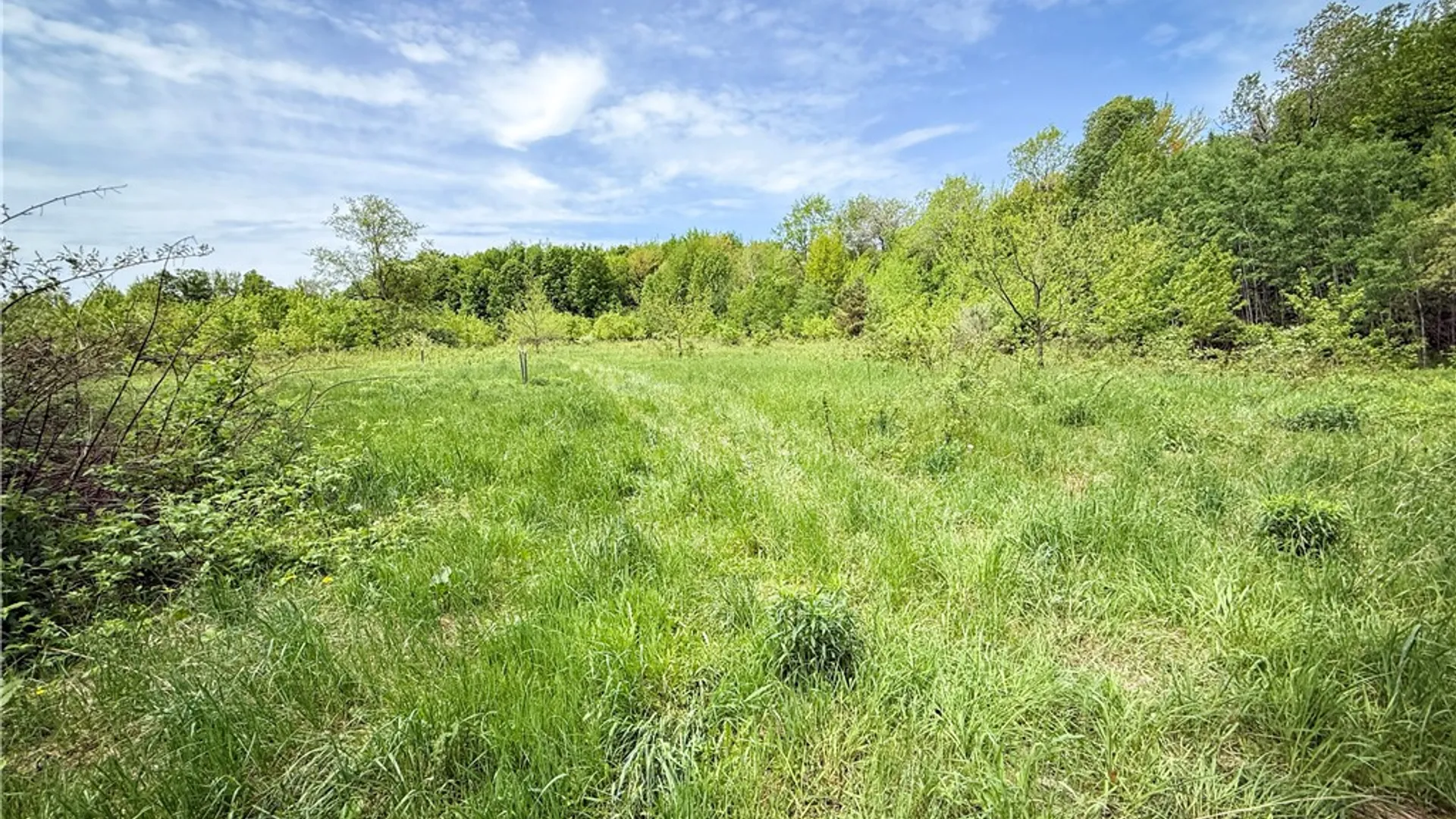 Property at Gifford Road, Hannibal, NY 13074 28